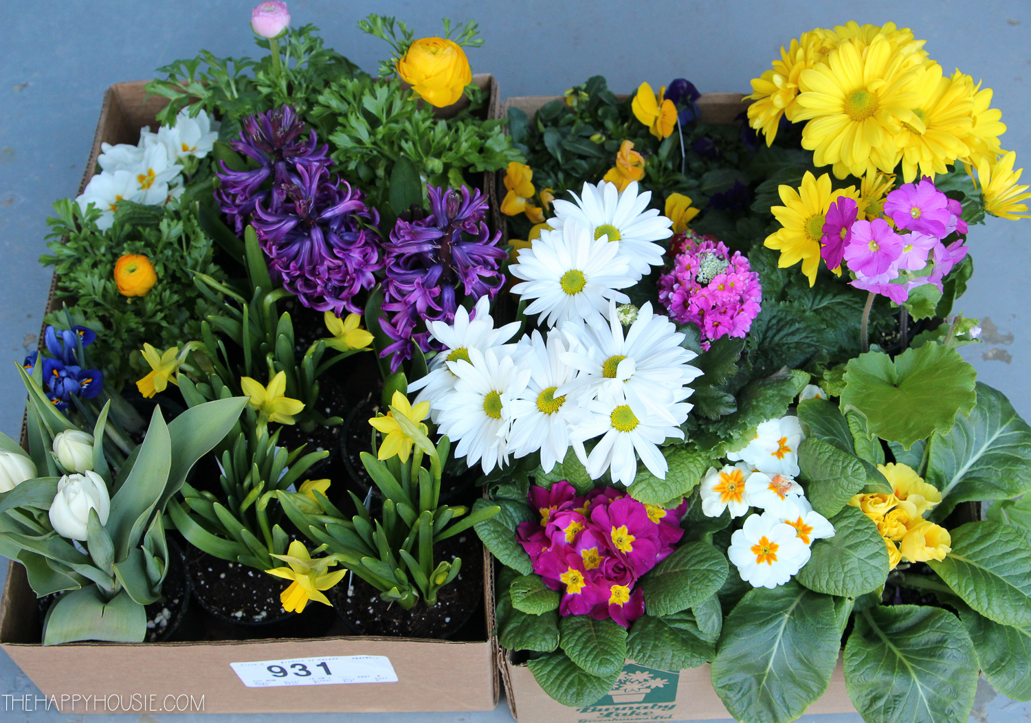 A box full of spring flowers.