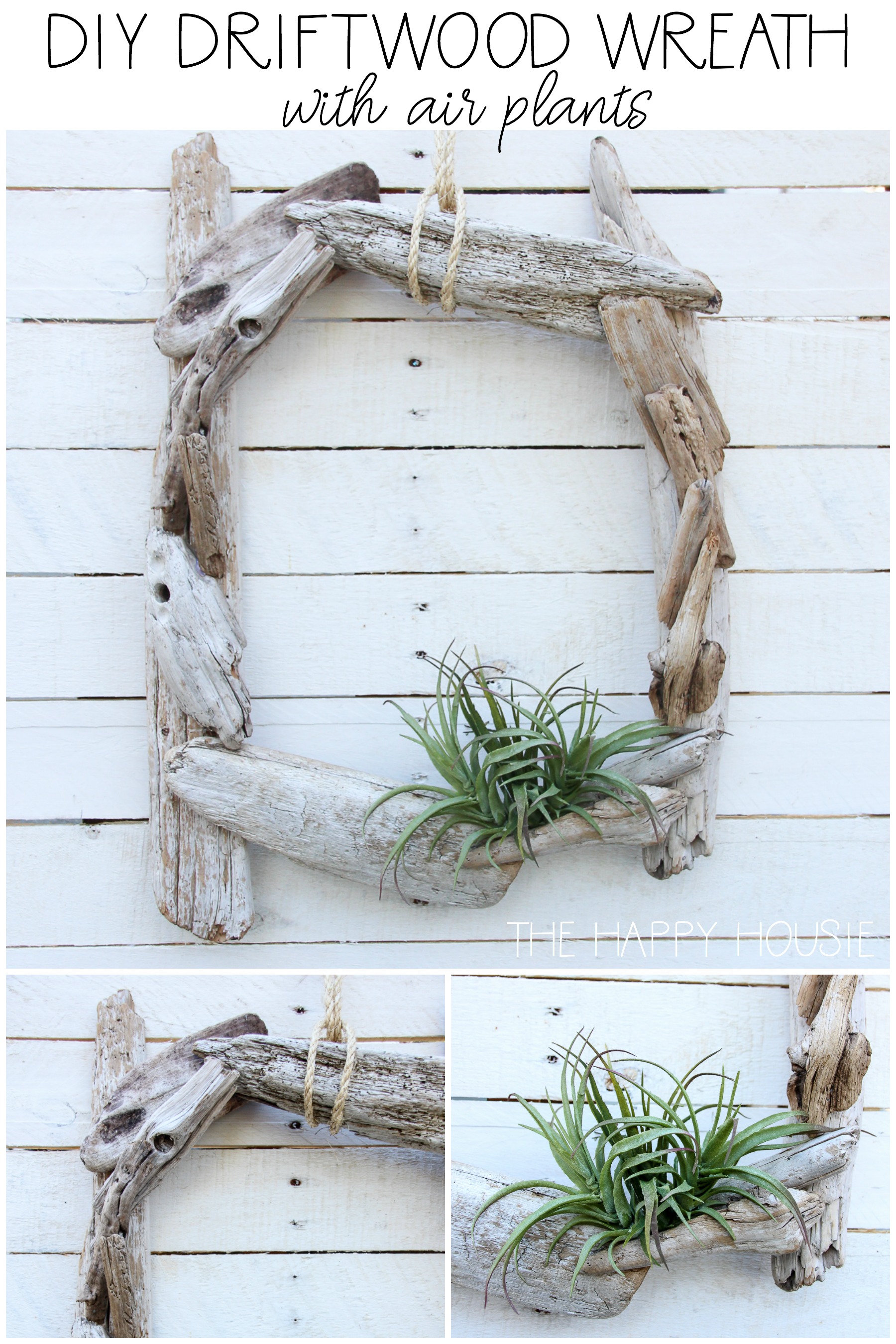 DIY Driftwood Wreath With Air Plants.