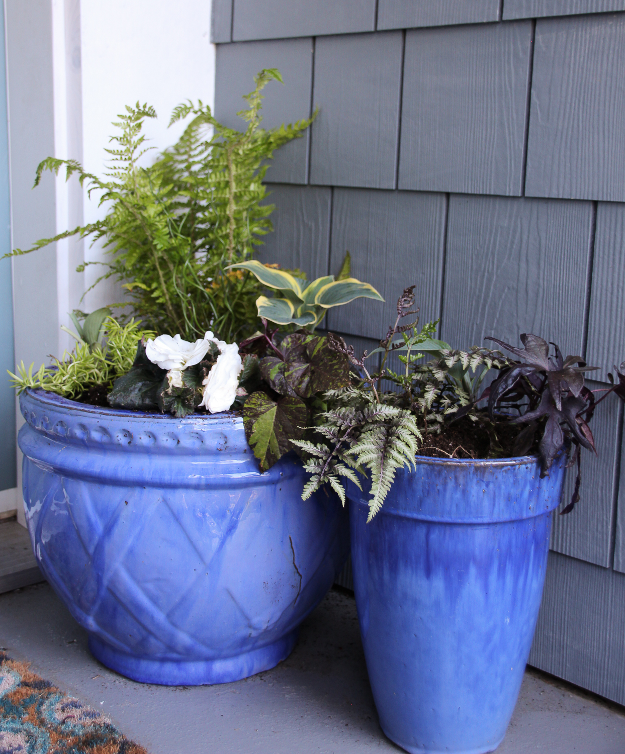 Bright blue pots filled with shade plants on the porch.