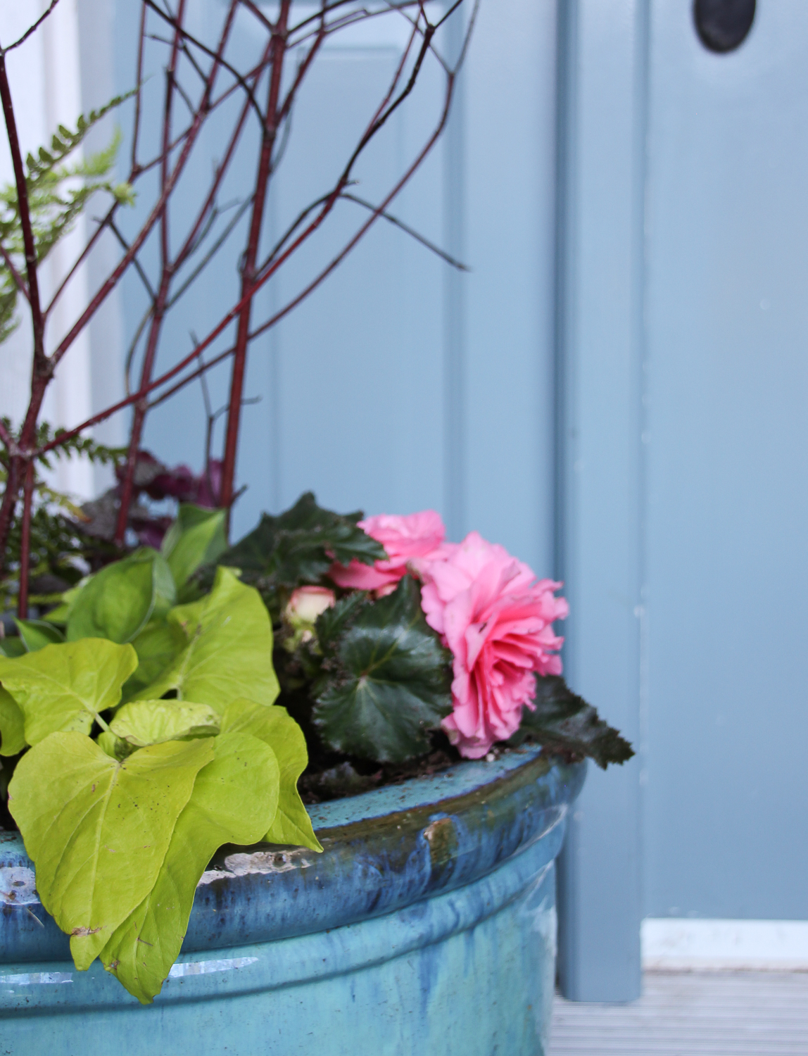 A pink flowering plant and bright green leafed plant in the pots on the porch.