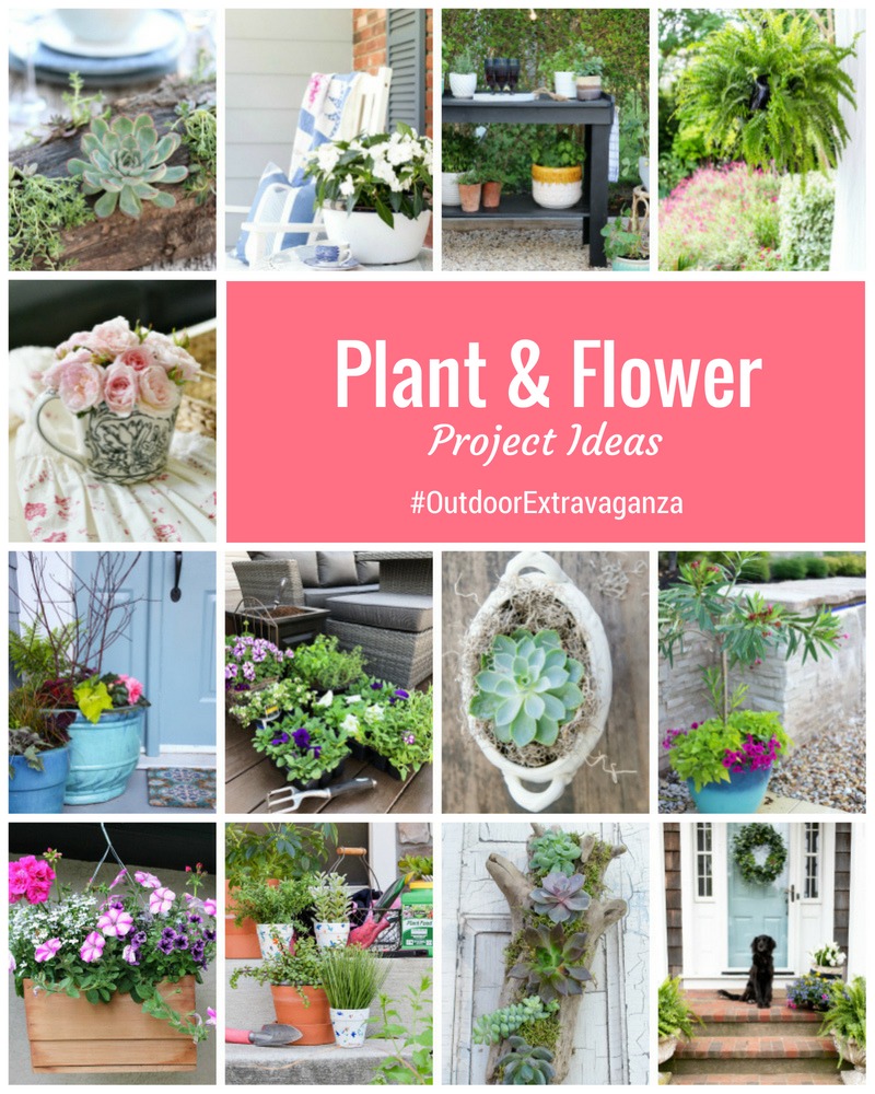Plant and flower project ideas poster.