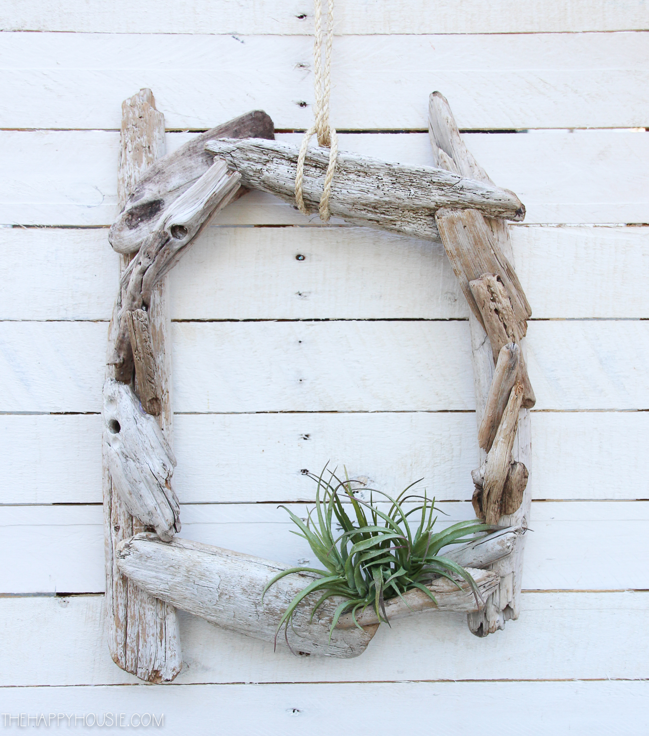 The driftwood wreath hanging up with a small plant in it.
