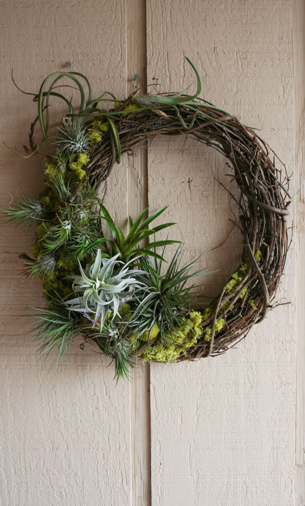A grapevine wreath with succulents on it.