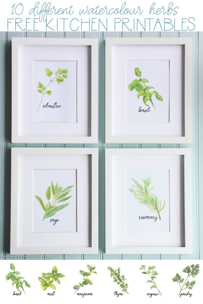 Watercolour Herb Free Kitchen Printables {in 10 designs!} | The Happy ...