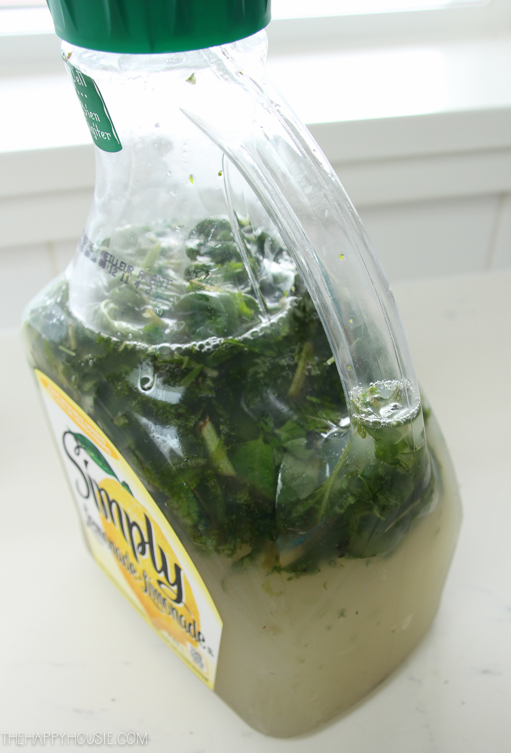 Putting the herbs into the lemonade container.