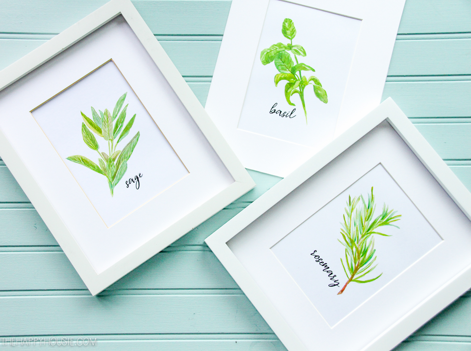 Herbs that are labelled and printed then framed in white frames.