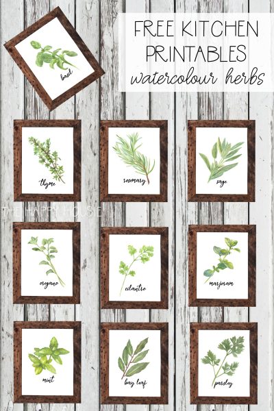 Watercolour Herb Free Kitchen Printables {in 10 designs!} | The Happy ...