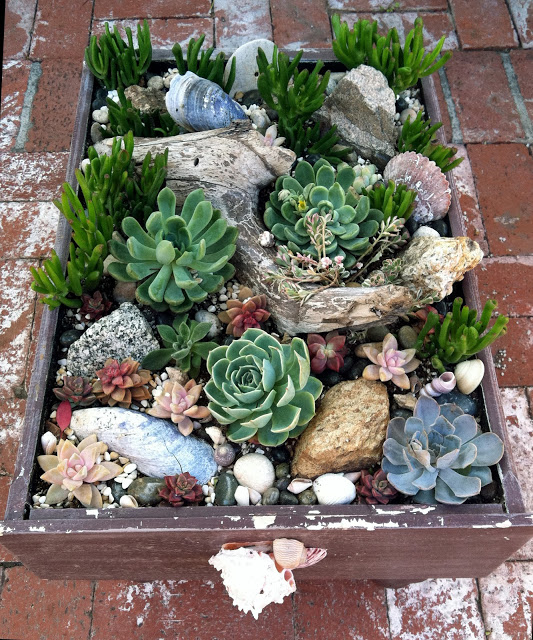 Rocks, wood and plants in a wooden rectangle outdoor box.