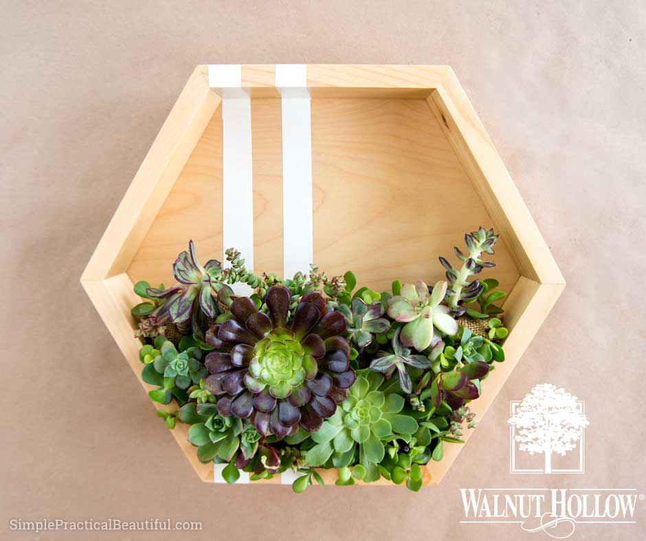 A wooden hanging succulent container.