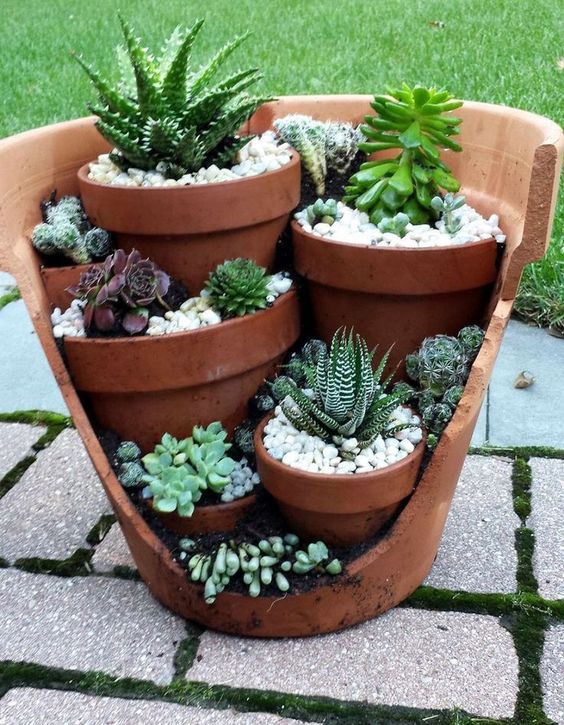 Lots of reddish clay posts with plants in them on.