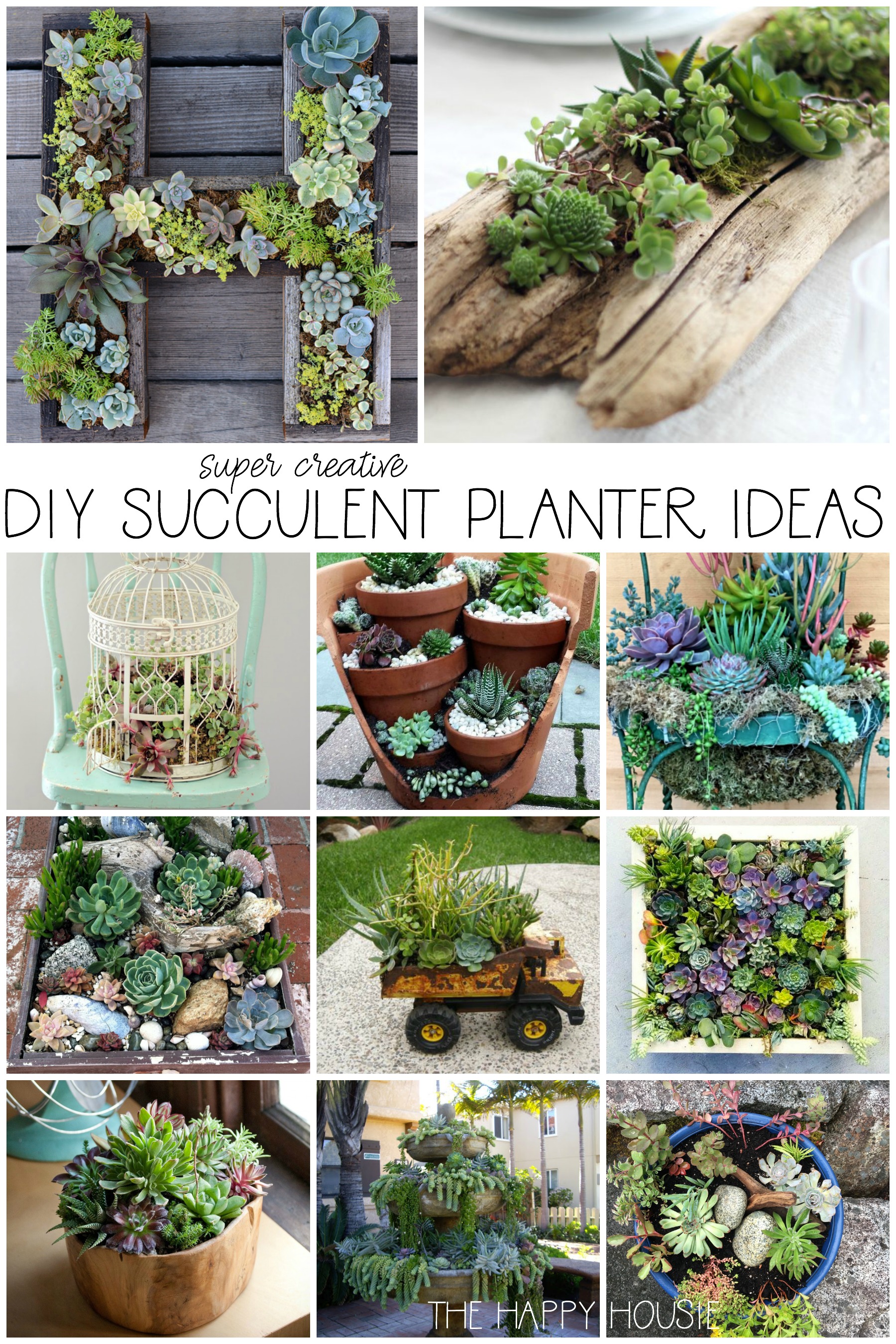 DIY succulent planter ideas graphic.