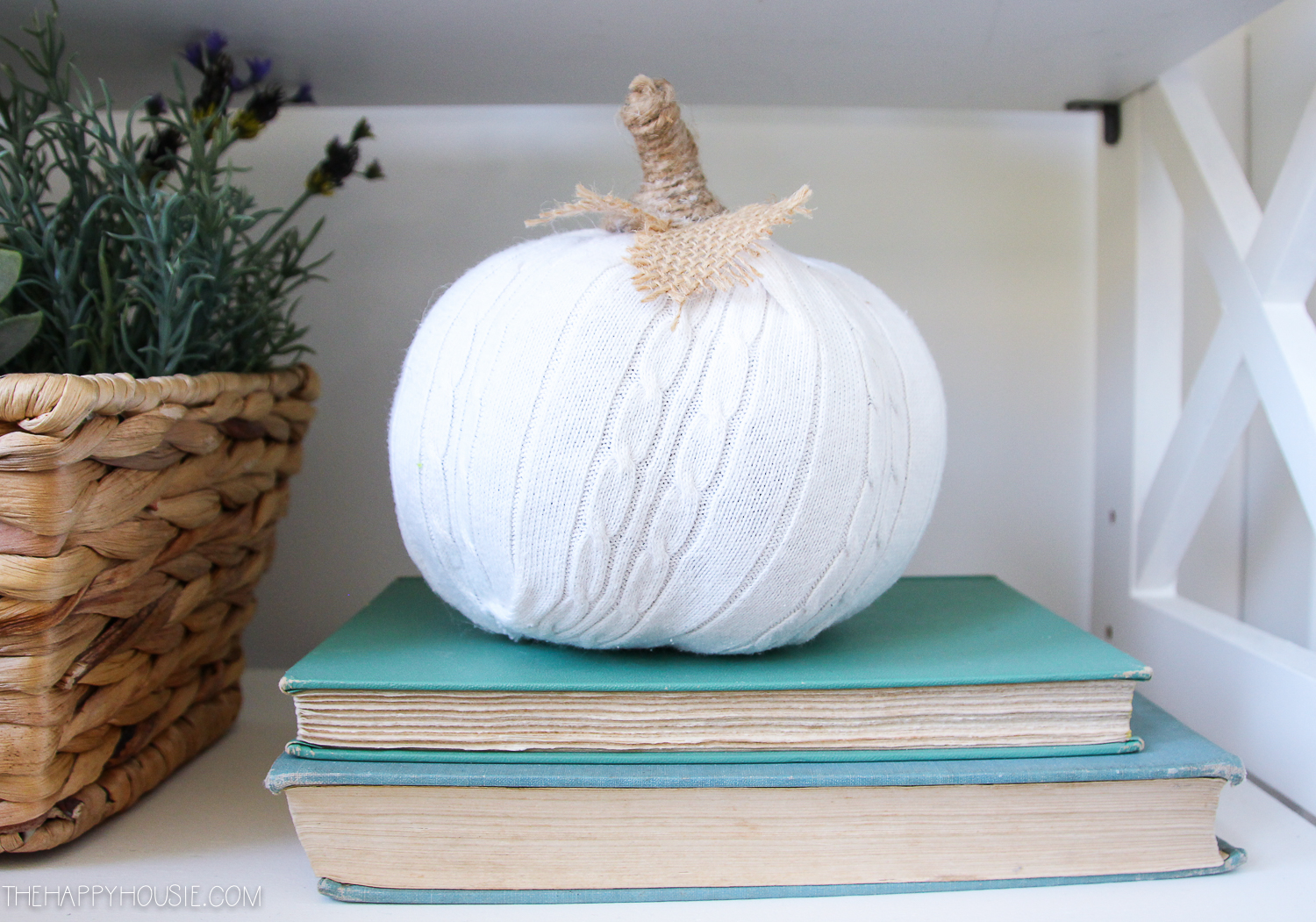 A stack of blue books and a sweater pumpkin on top of it.