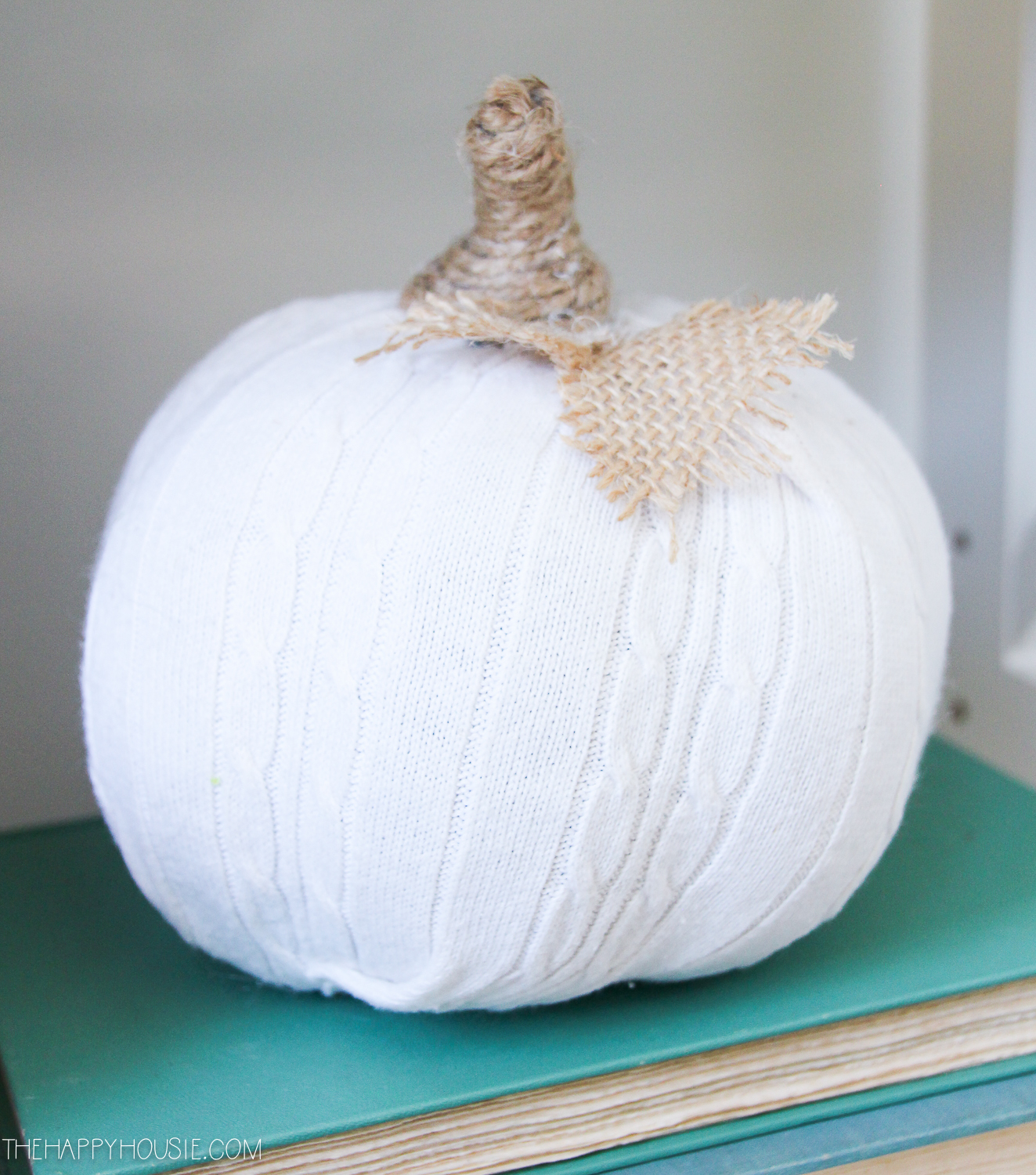 A white pumpkin that is an up close picture.