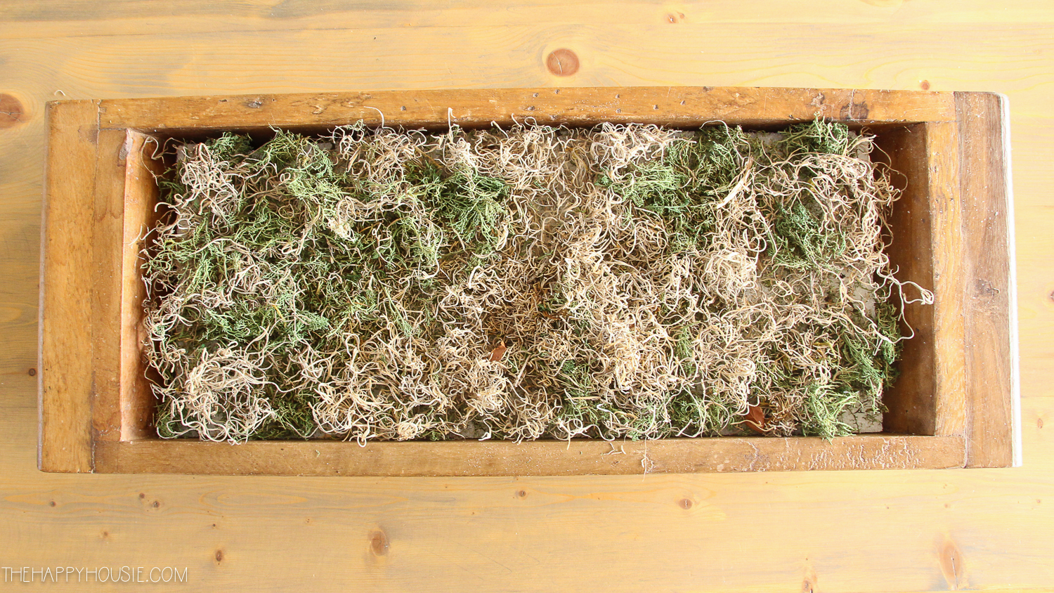 Covering the styrofoam with moss.