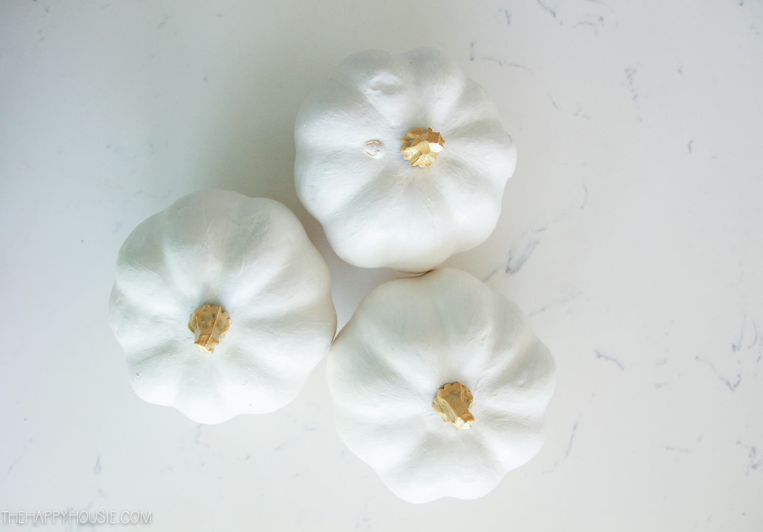 Painted white pumpkins with a gold stem.