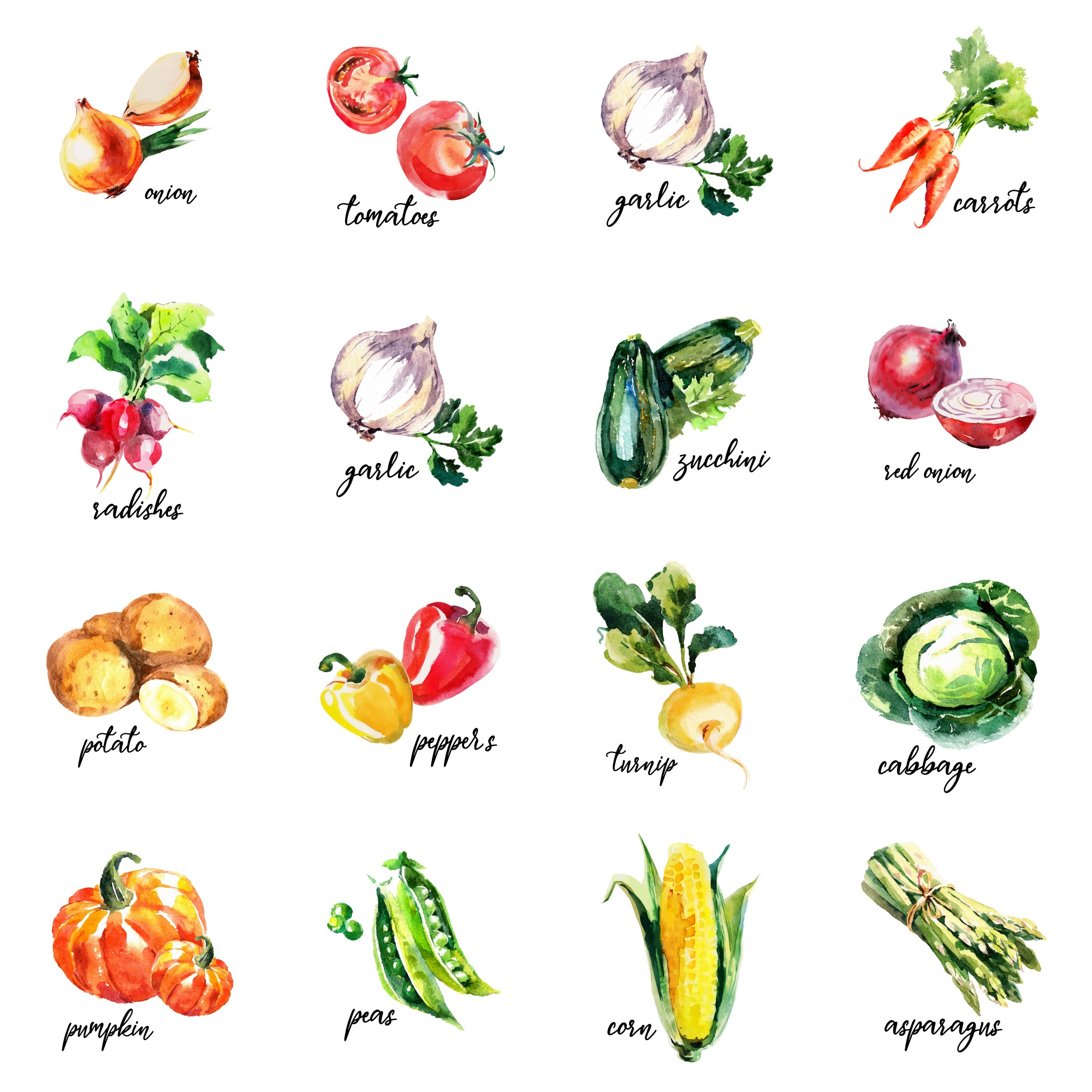 Vegetable exercises. Овощи картинки для детей с названиями. Фрукты и овощи картинки для детей карточки. Овощи. Плакат. Овощи картинки для детей на английском.
