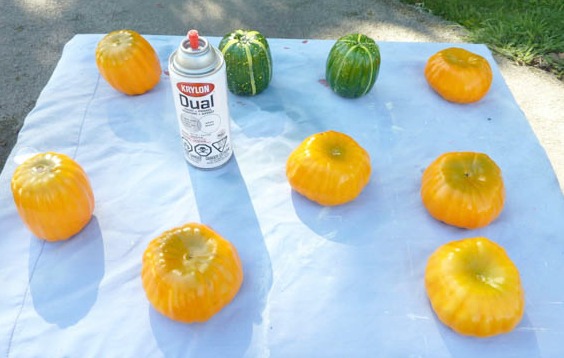 Spray painting the pumpkins.