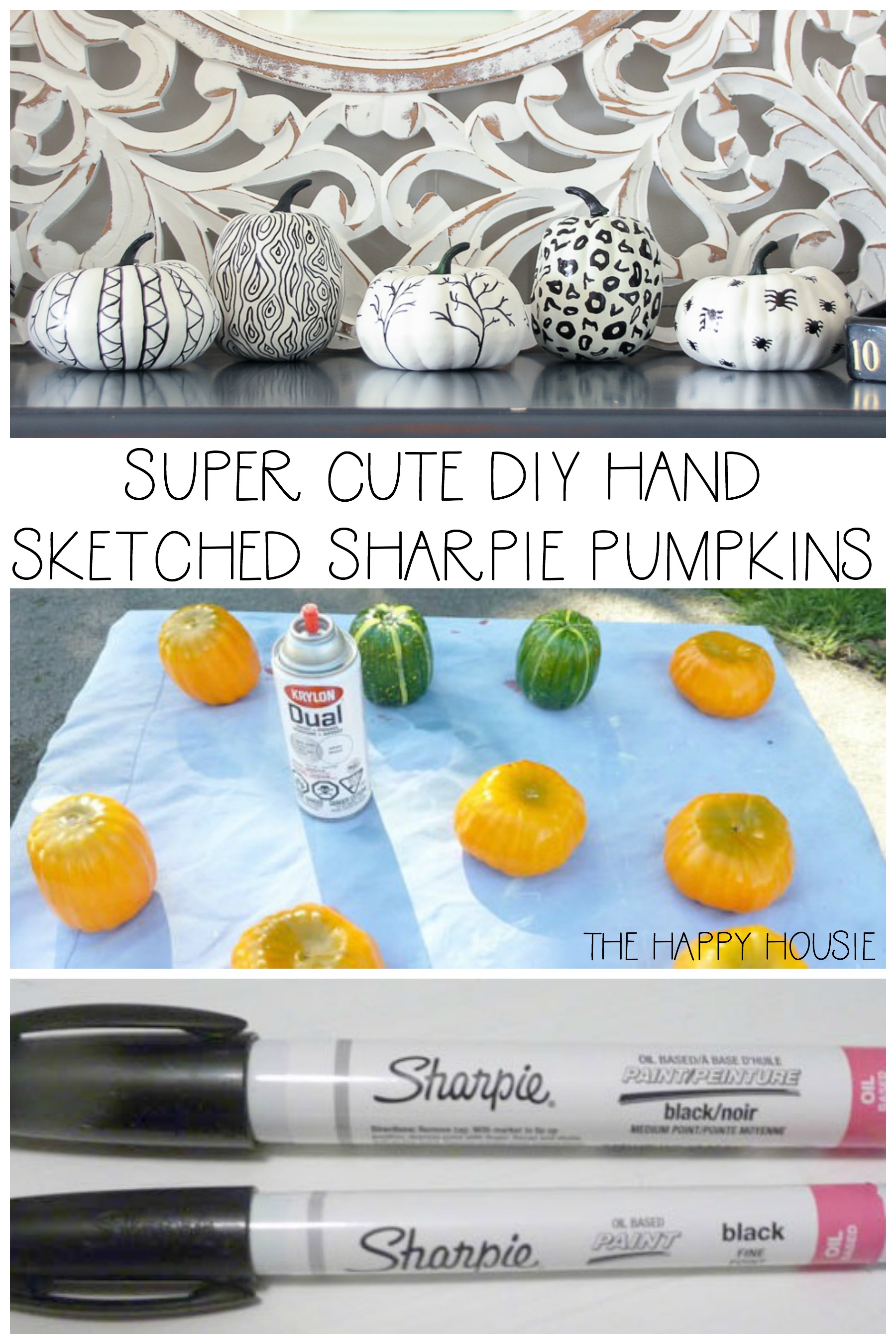 Super Cute DIY Hand Sketched Sharpie Pumpkins poster.