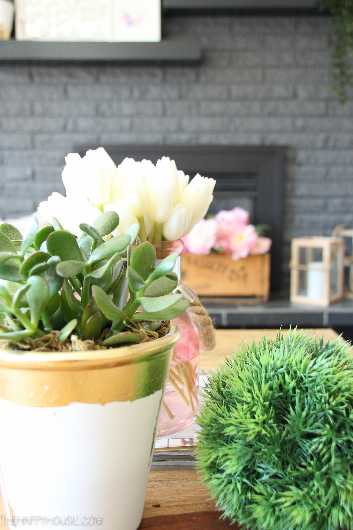 Up close picture of the white tulips and potted plants on the table in the living room.