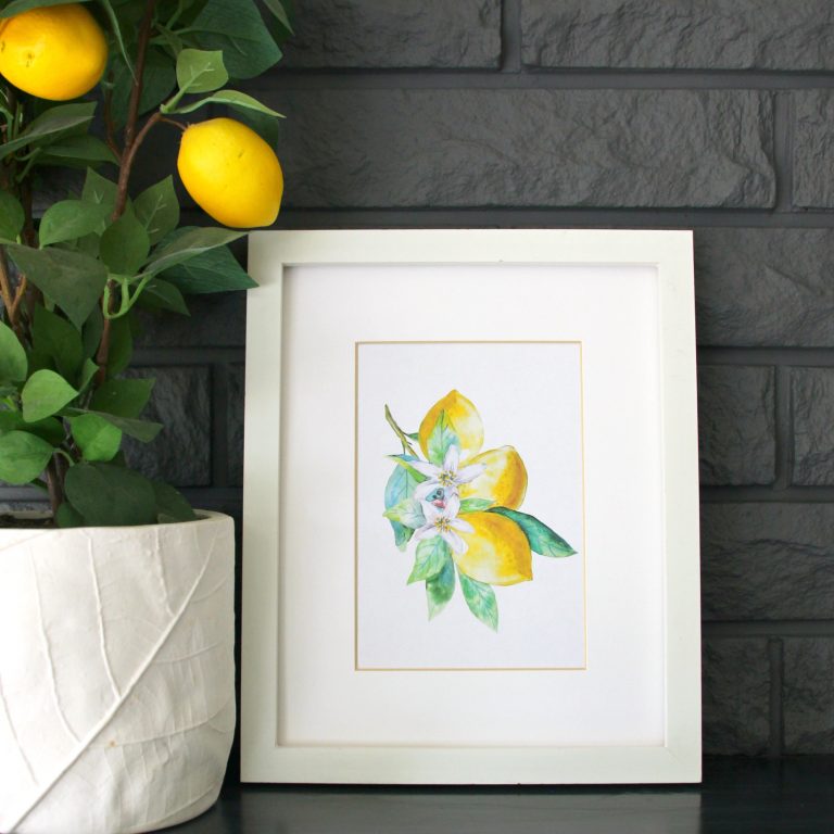 Series of 3 Free Printable Watercolour Lemon Art Prints