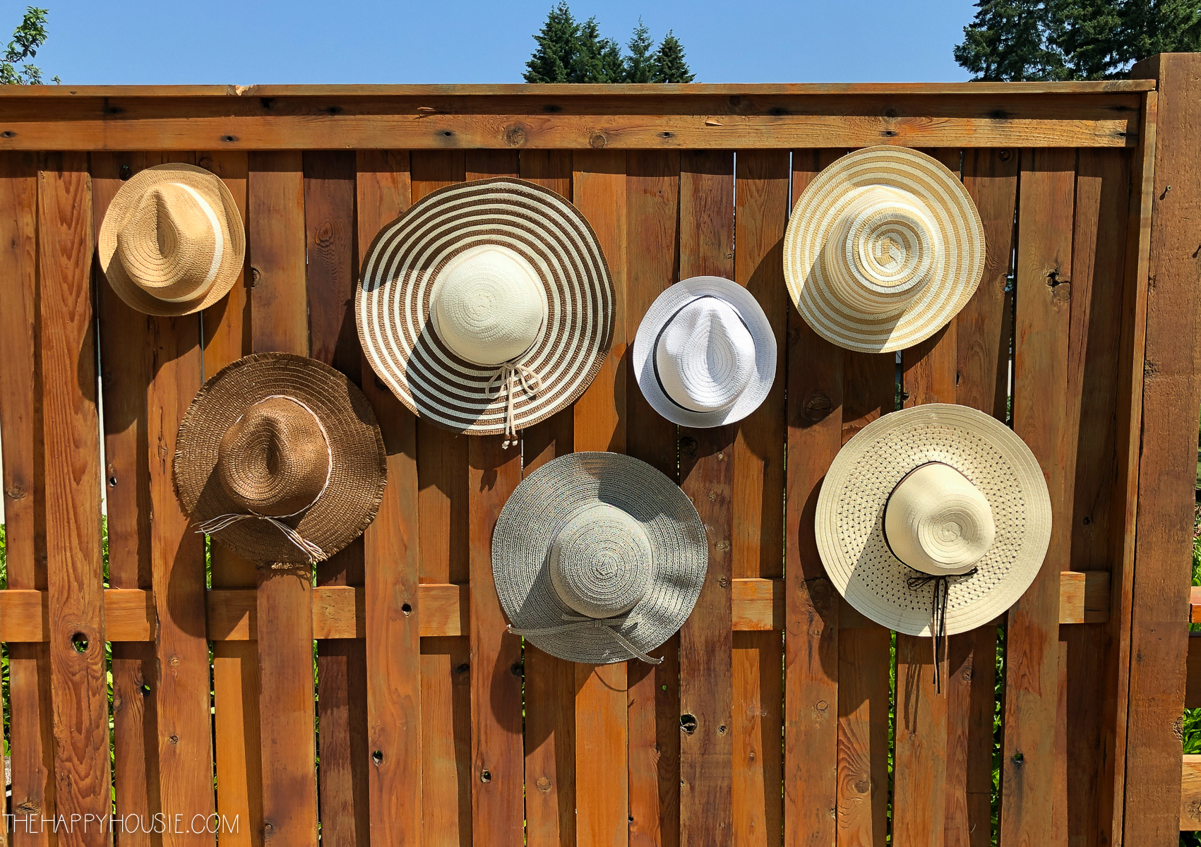 Hats on a wooden fence.