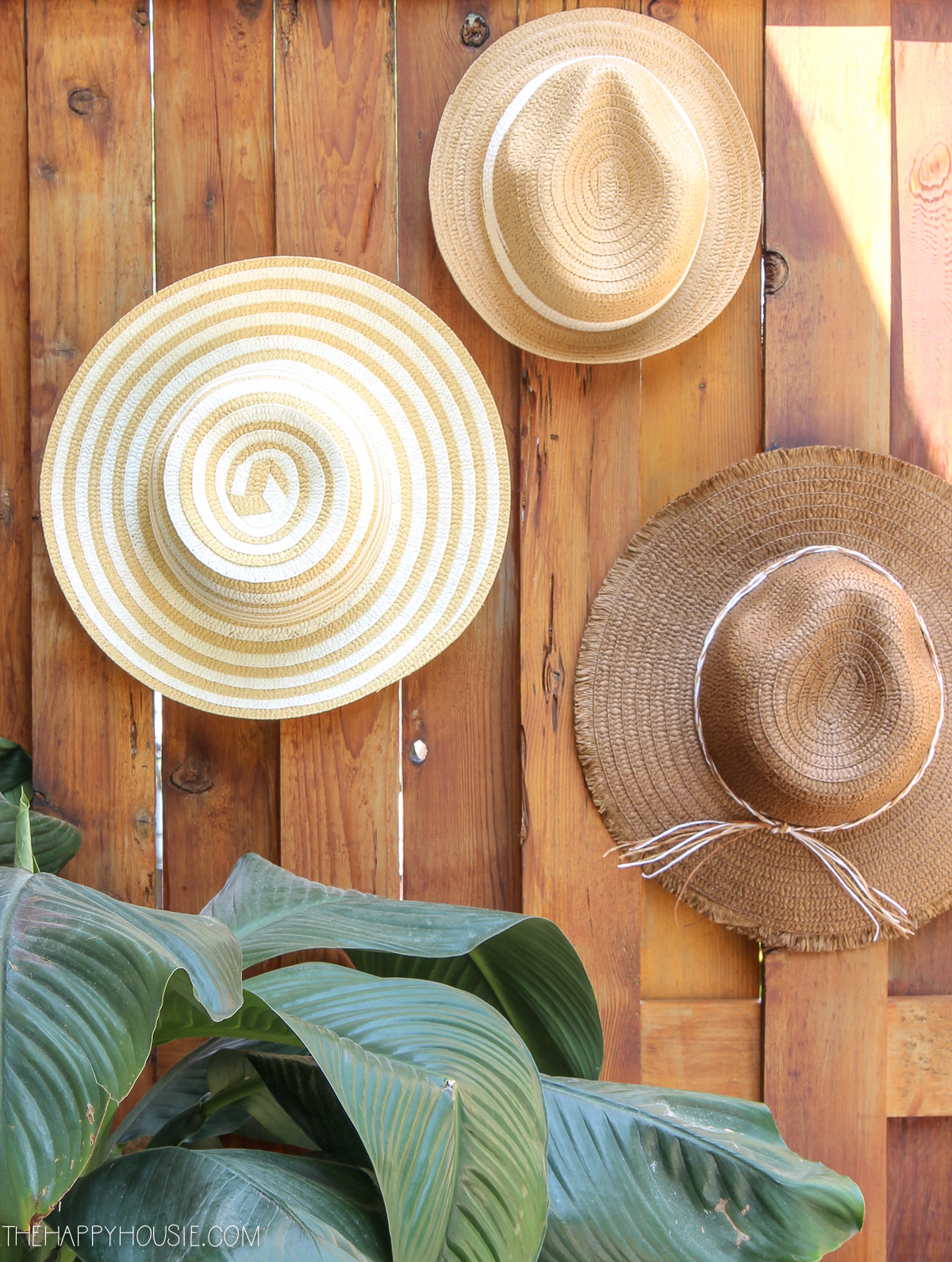 Straw hats on the fence.