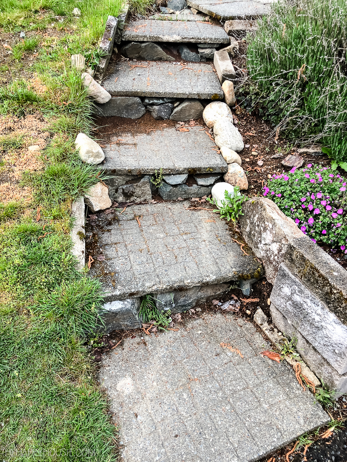 Small uneven steps to the pathway to the front of the house.
