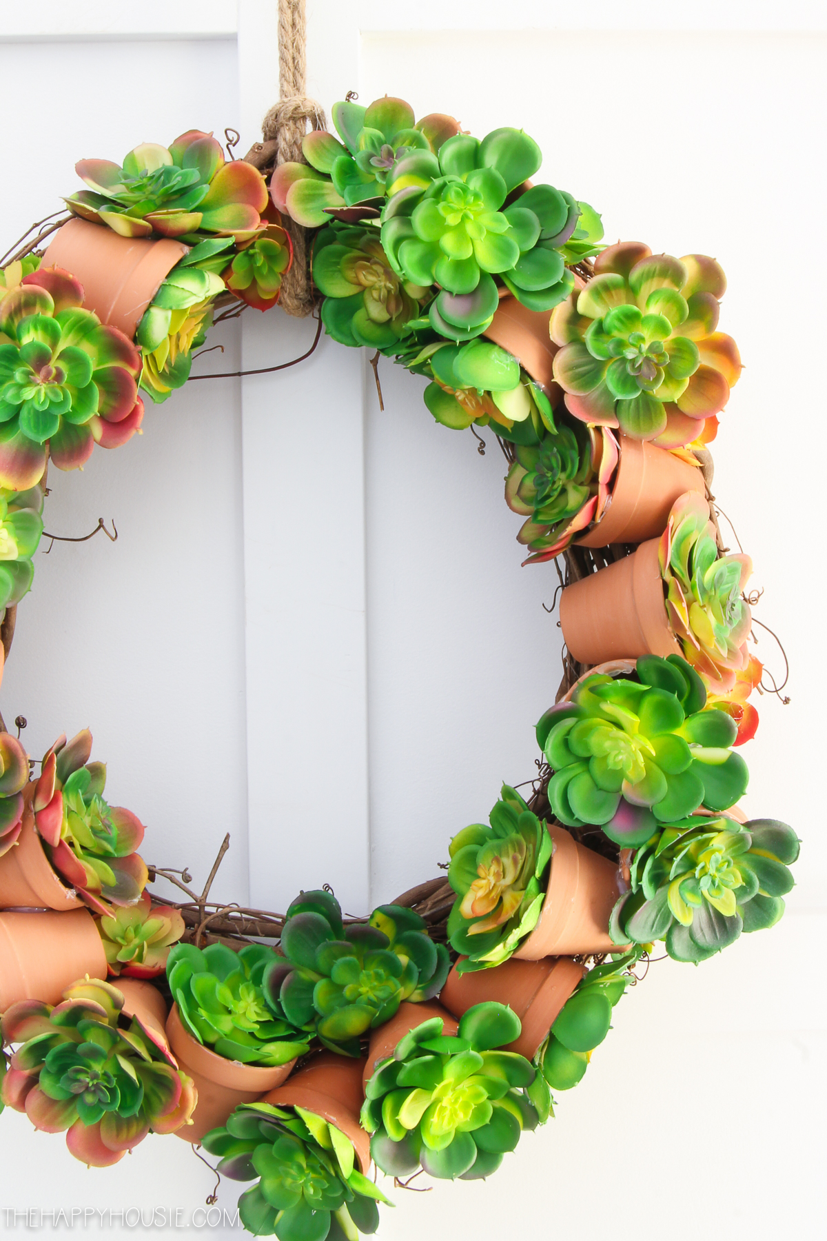 A succulent wreath hanging on a door.
