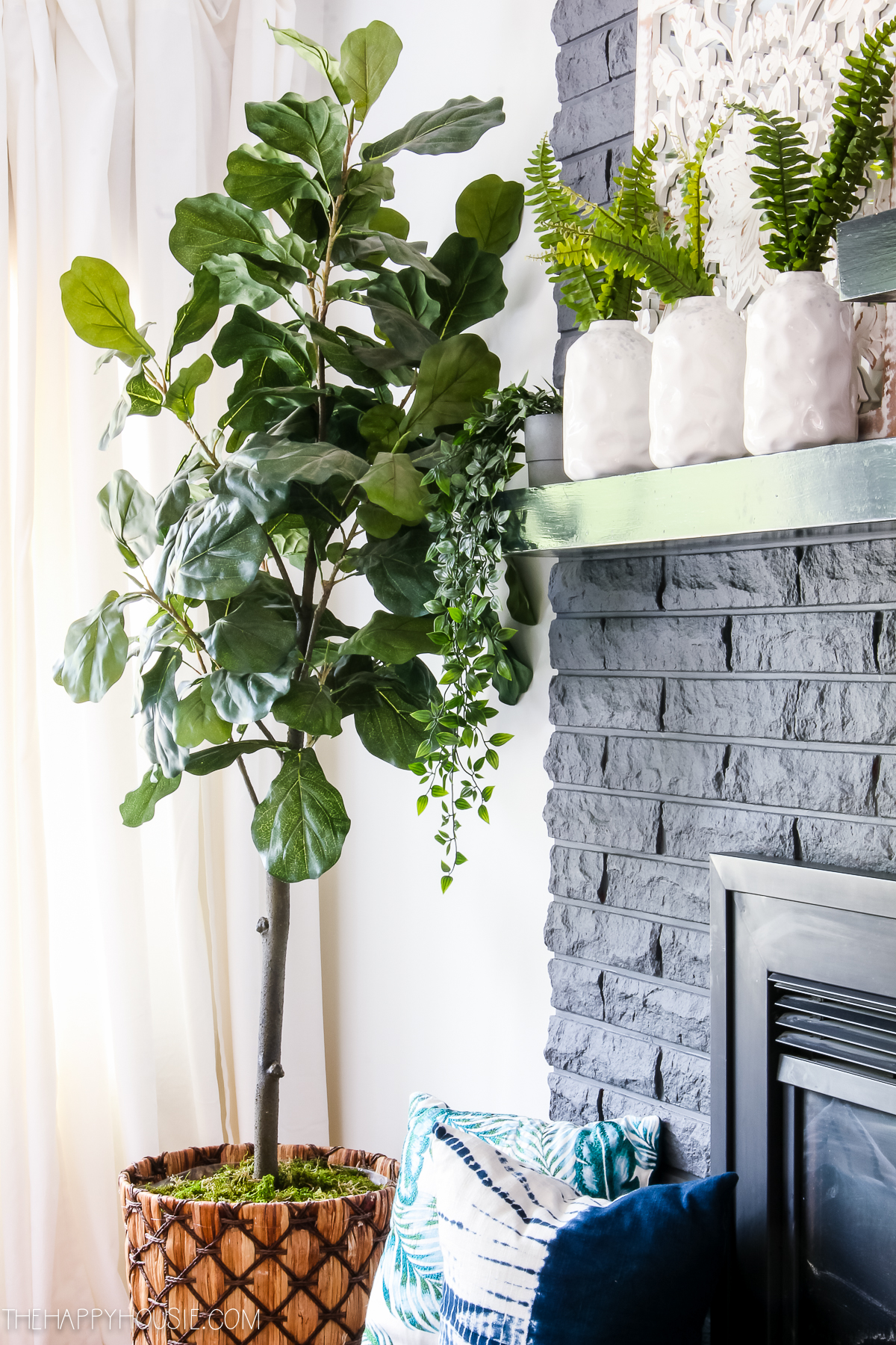 A tall fig tree potted is beside the fireplace mantel.