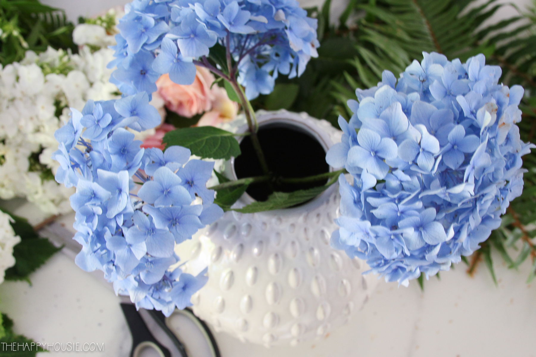 Putting the pretty blue hydrangeas in a white vase.