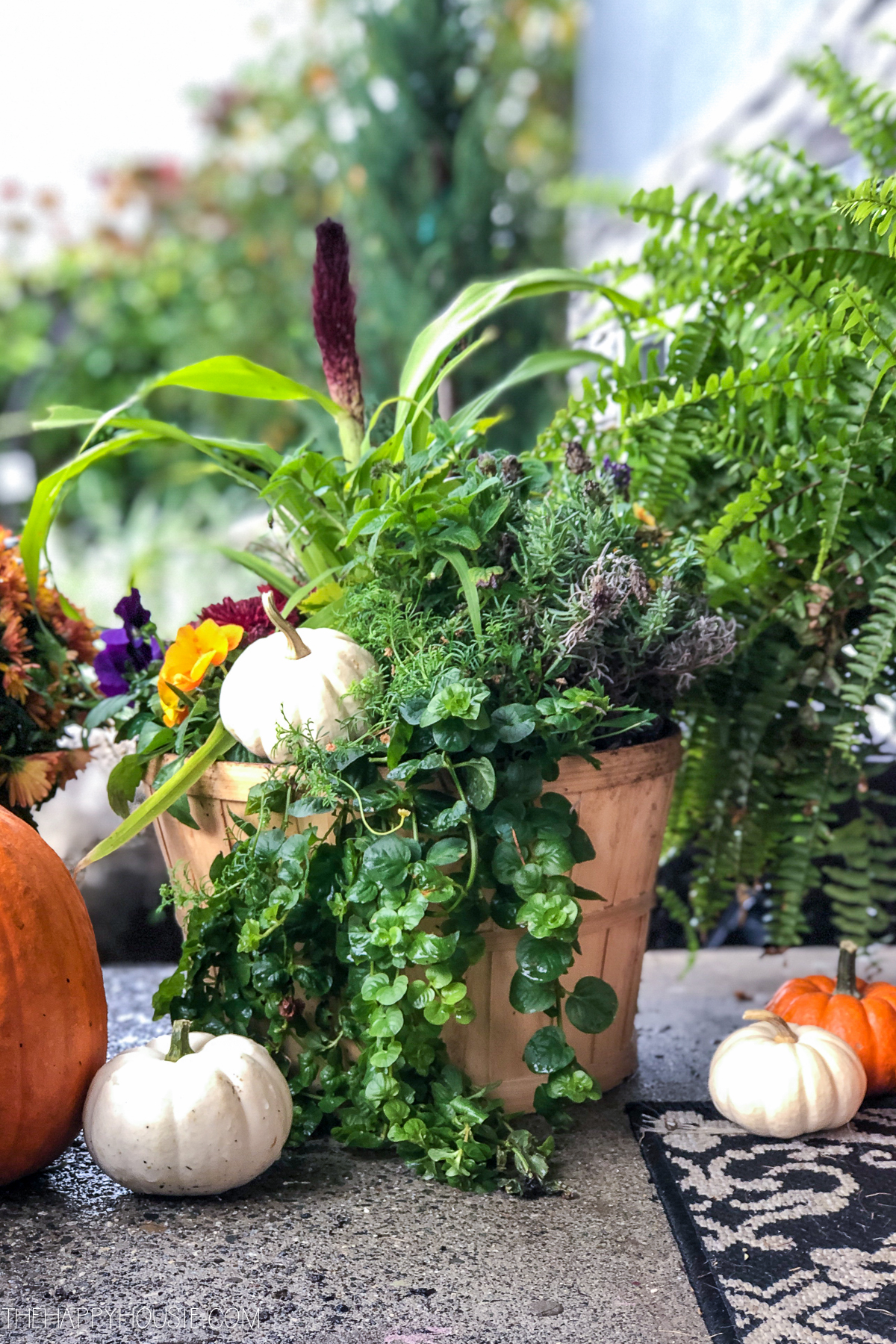 A planter filled with greenery and pumpkins on the front porch.