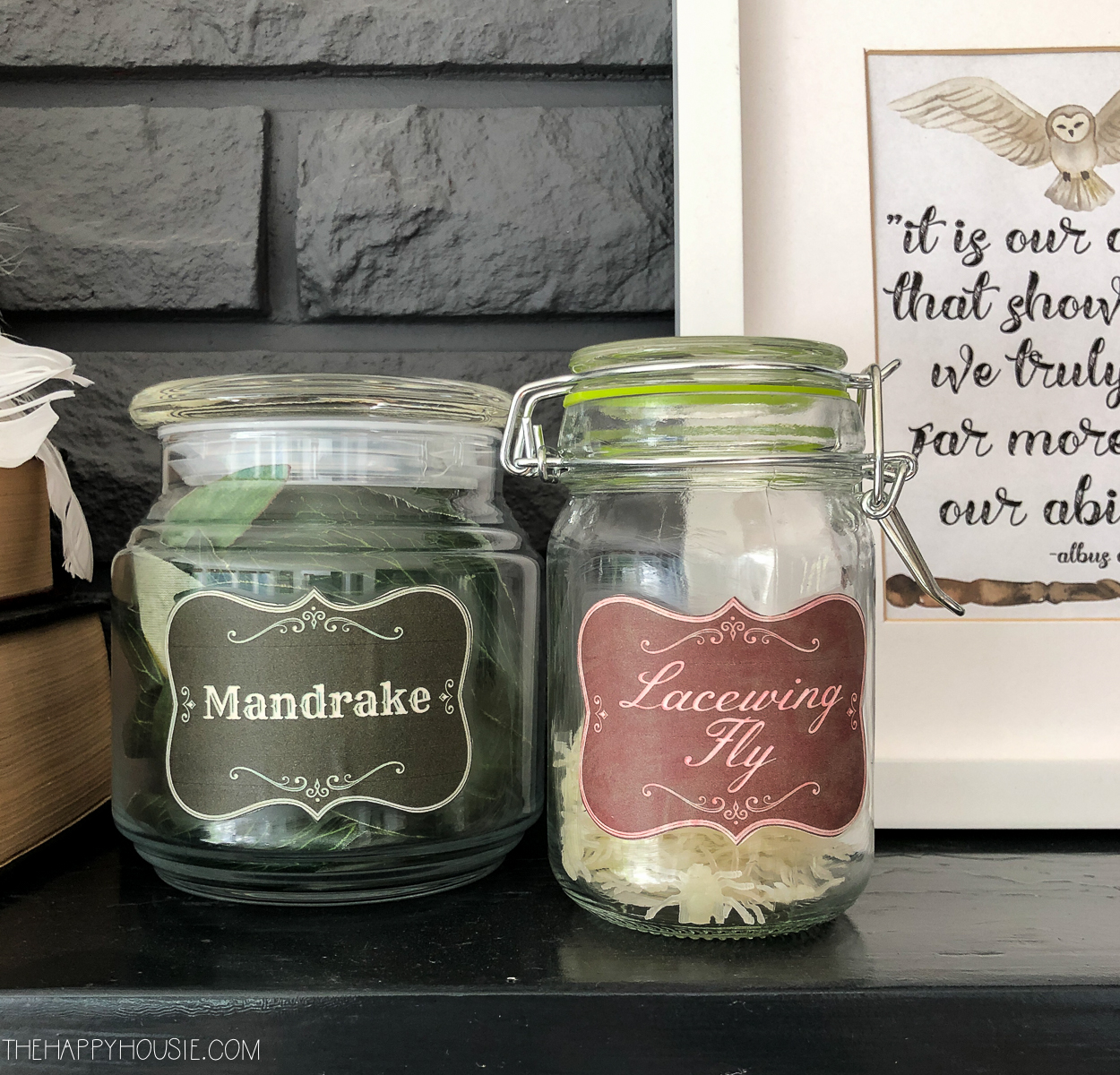 Jars are on the mantel that are lacewing fly and Mandrake.