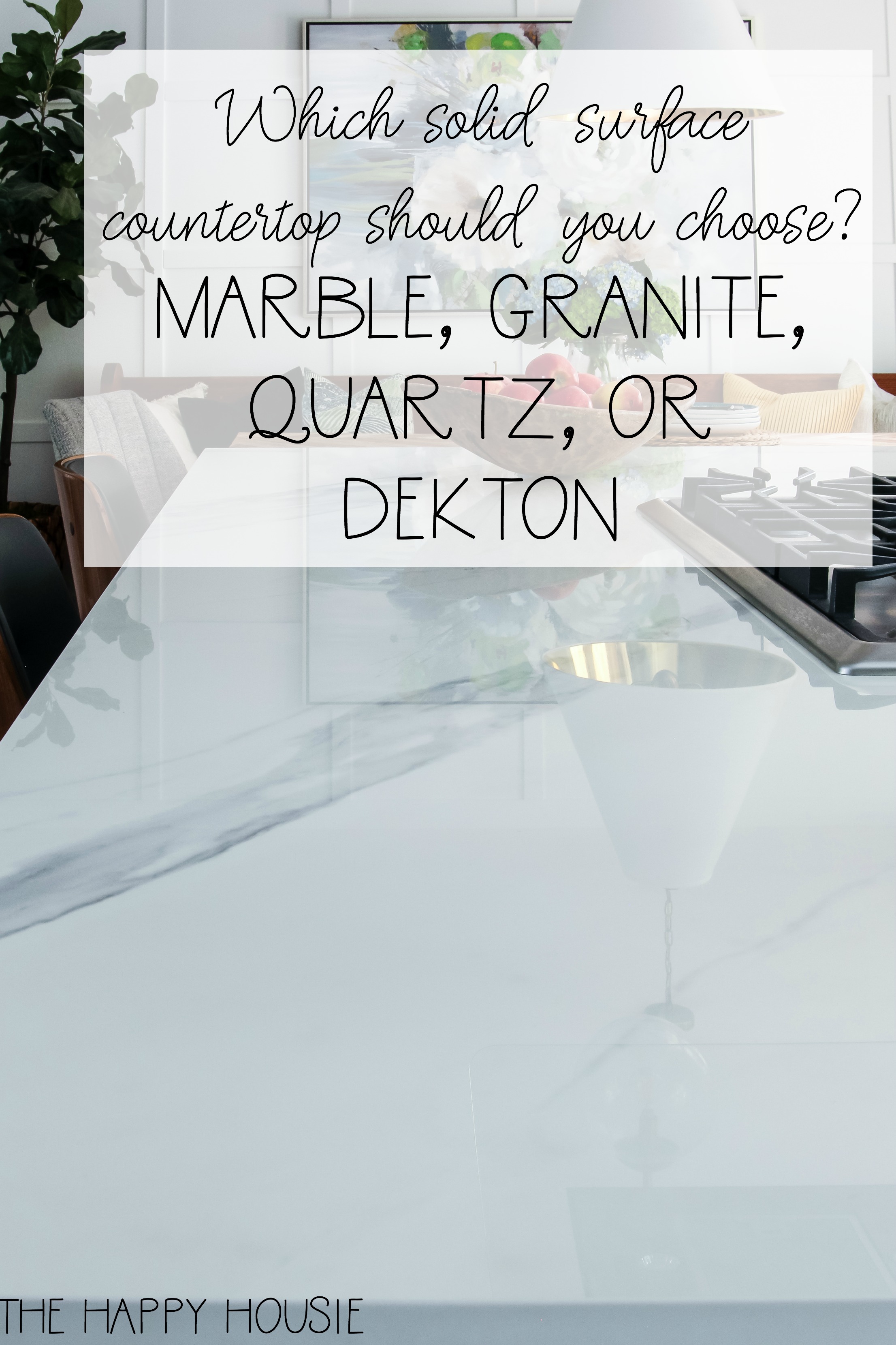 Which solid surface countertop should you choose graphic.
