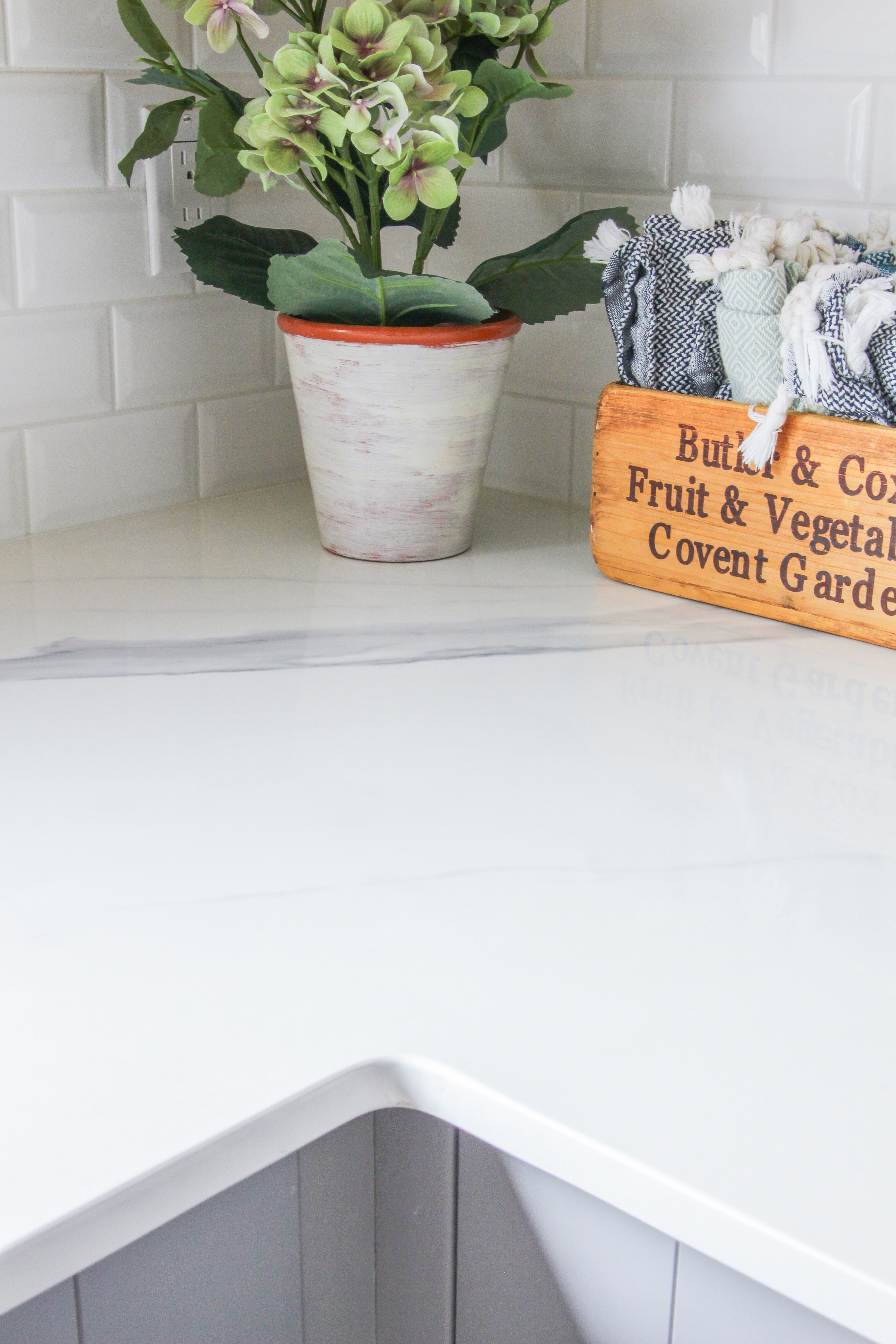 A white countertop with a potted plant in the corner.