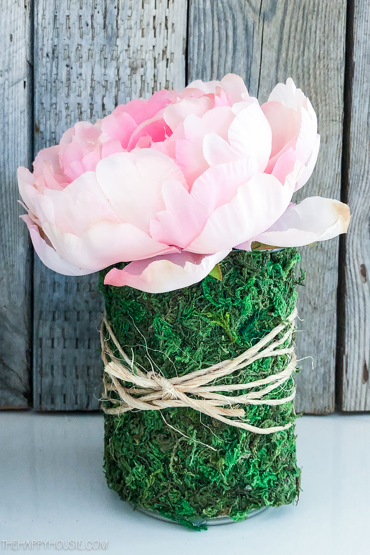 Up close picture of the pink peony in the moss vase.