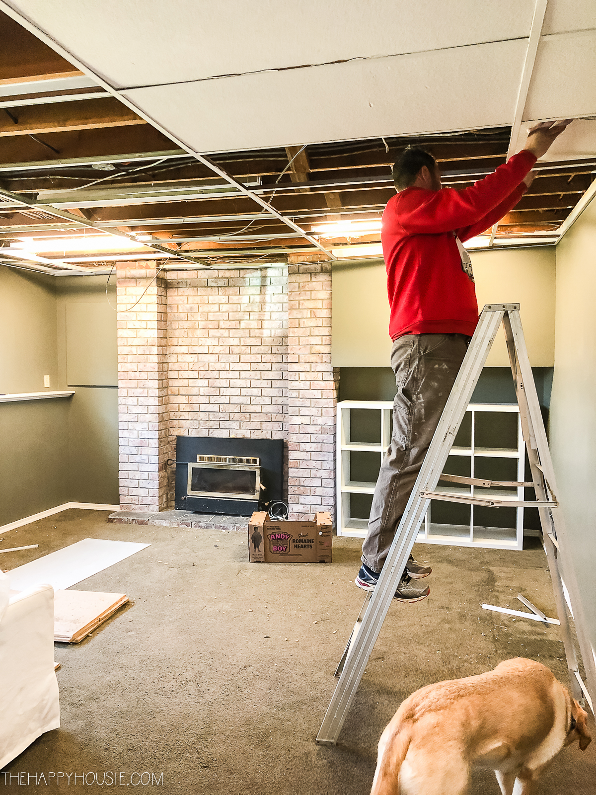 One Room Challenge Week 2: Replacing a Basement Drop-Tile Ceiling