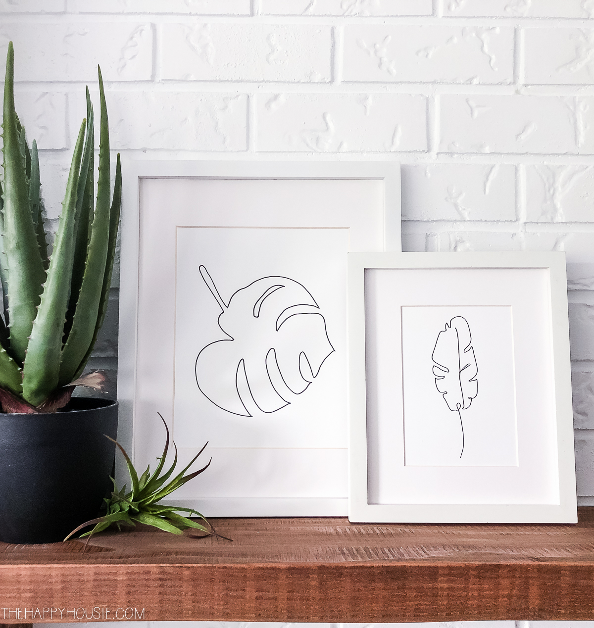 Tropical & Palm Leaf Line Art Free Printable Series