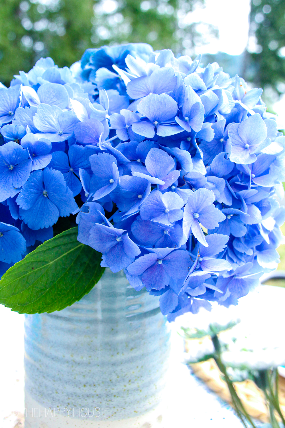 Bright blue hydrangeas are on the table in a ceramic vase.