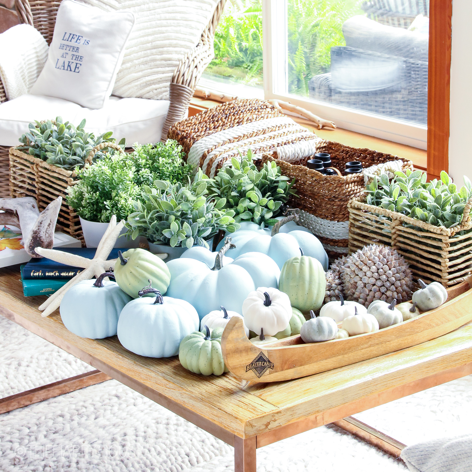 A side table full of succulents and mini white pumpkins.