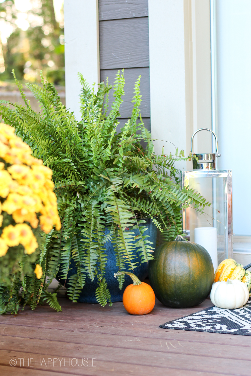 Green, orange and white pumpkins on the front porch.
