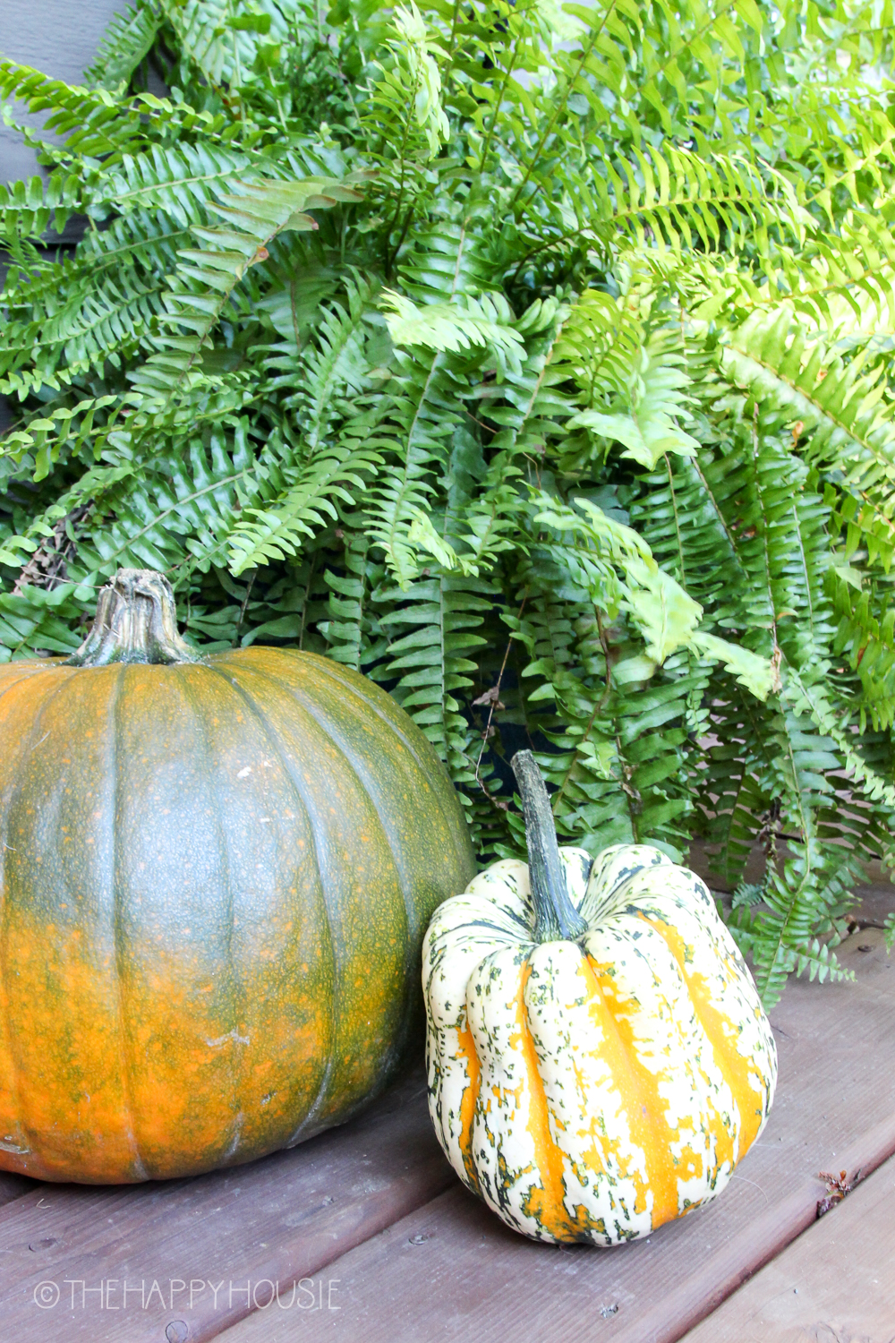 A porch is filled with fall decor.