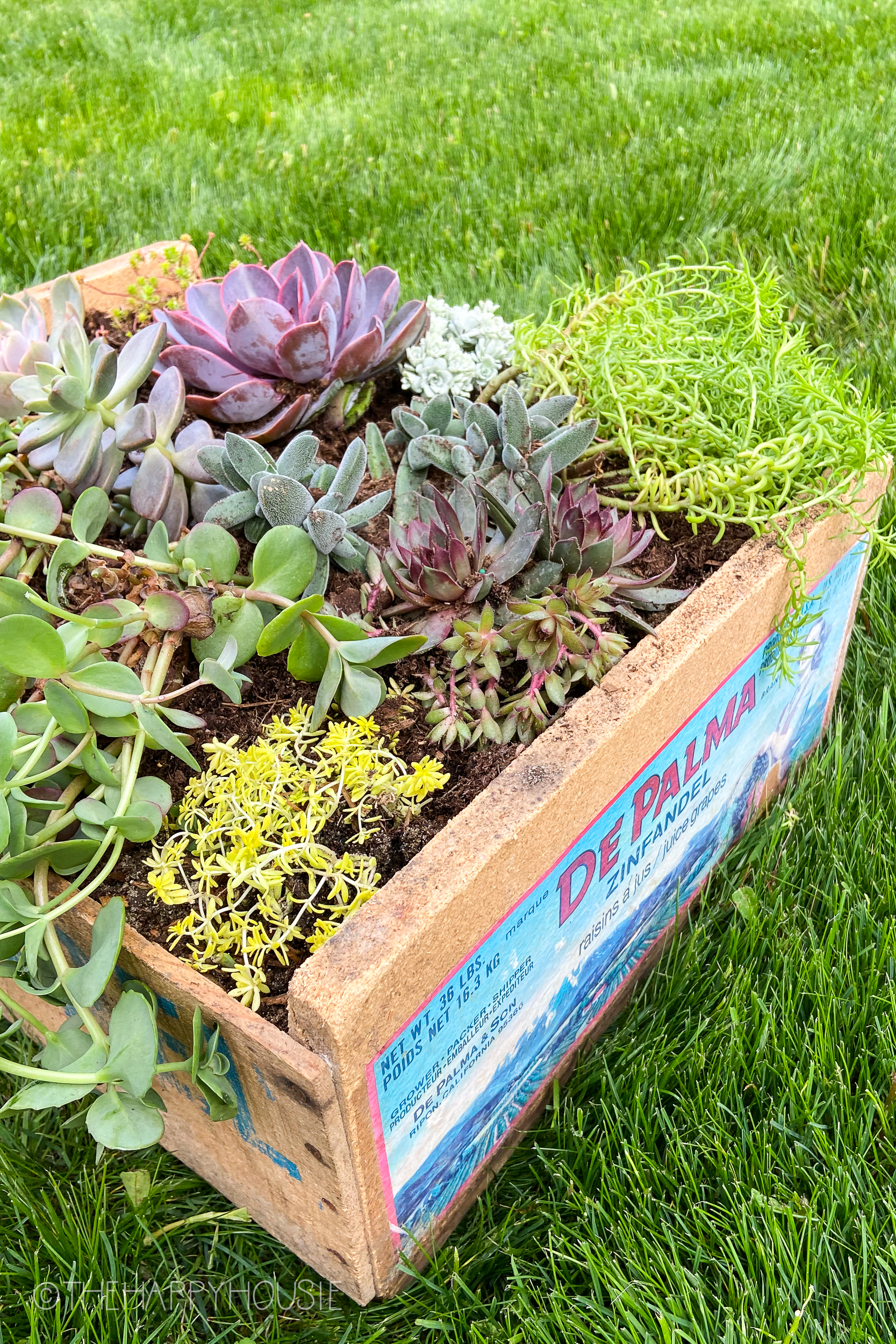 DIY Vintage Crate Succulent Planter