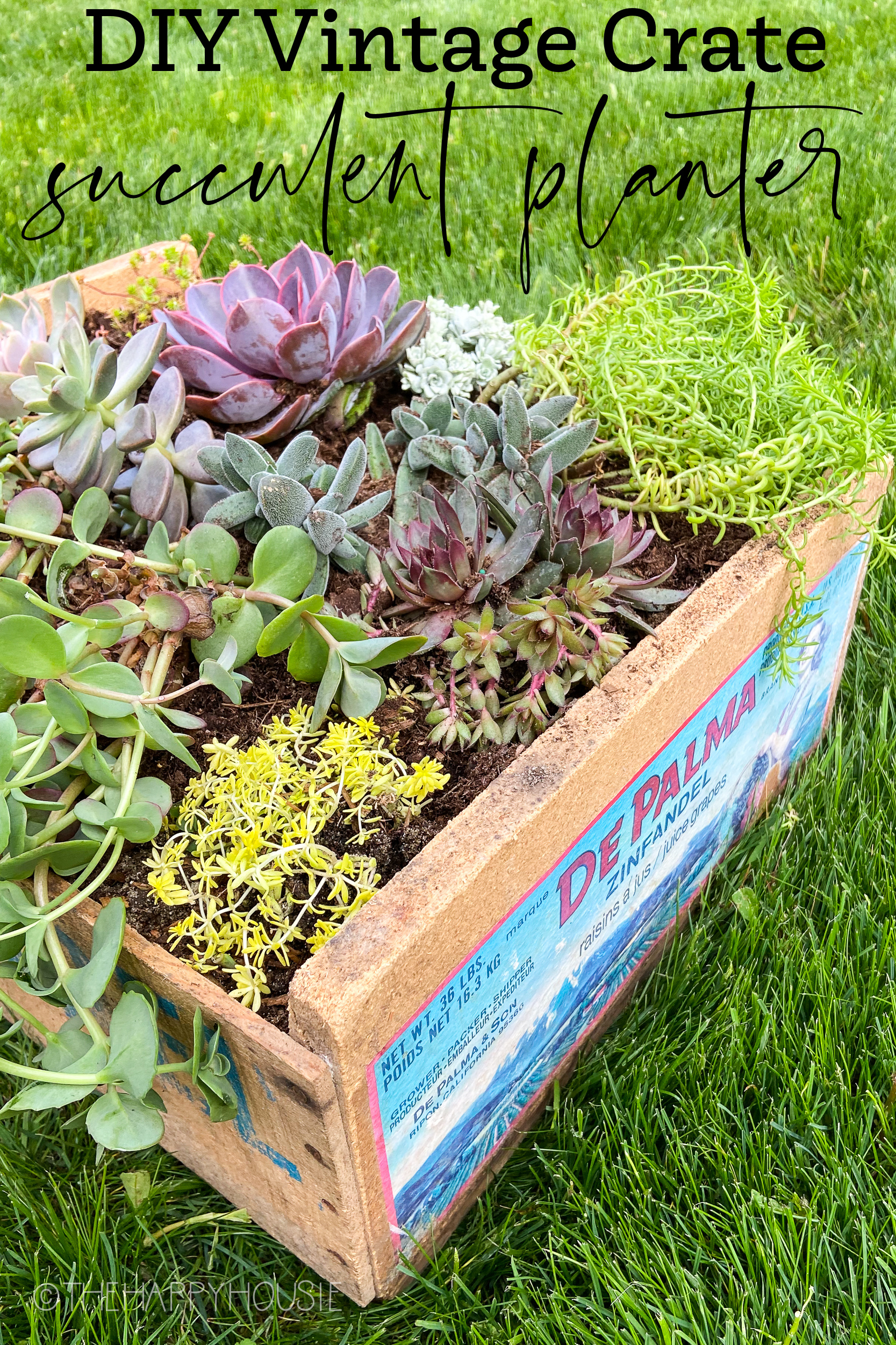 DIY vintage crate succulent planter poster.