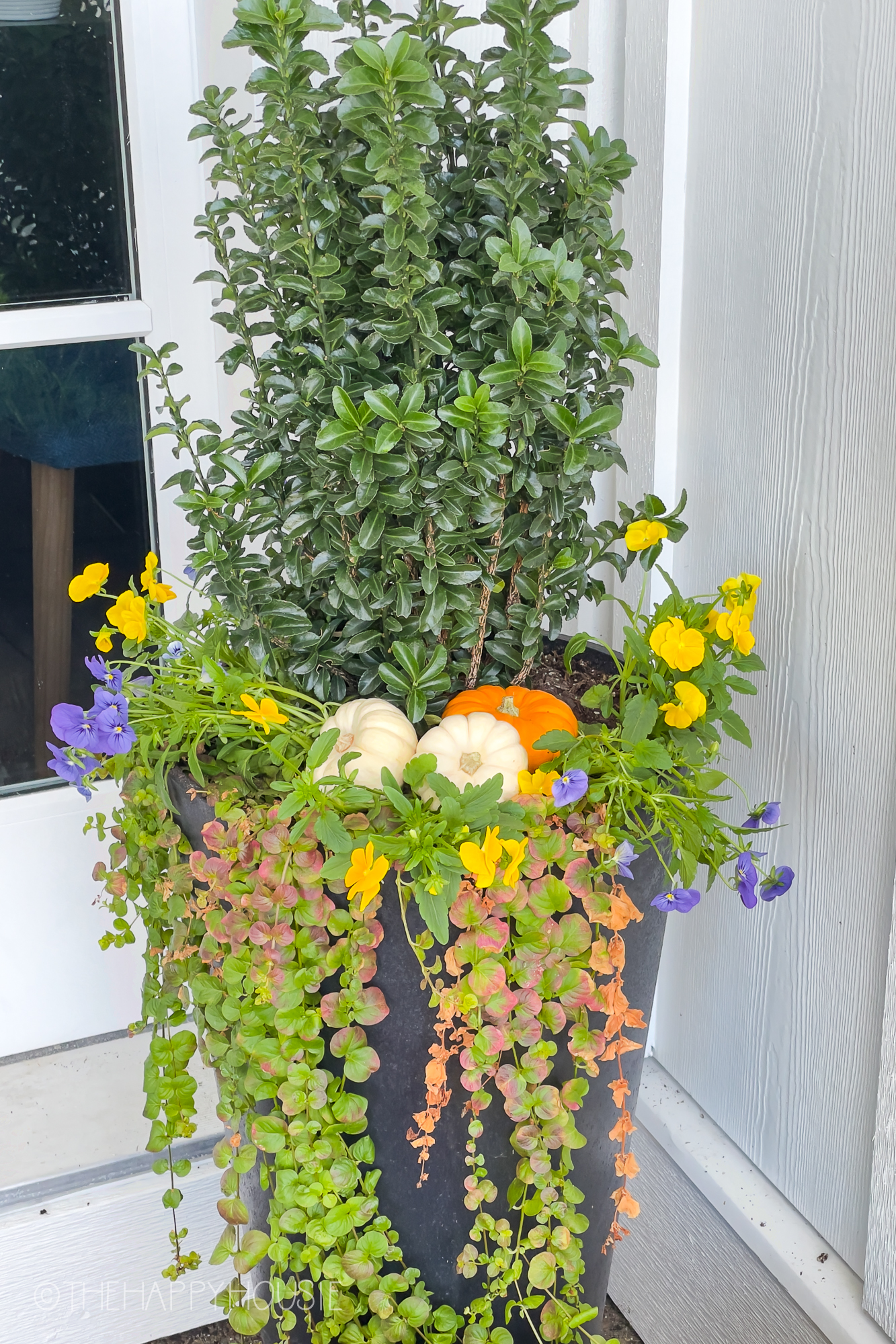 A large pot is filled with flowers and vines by the front door.
