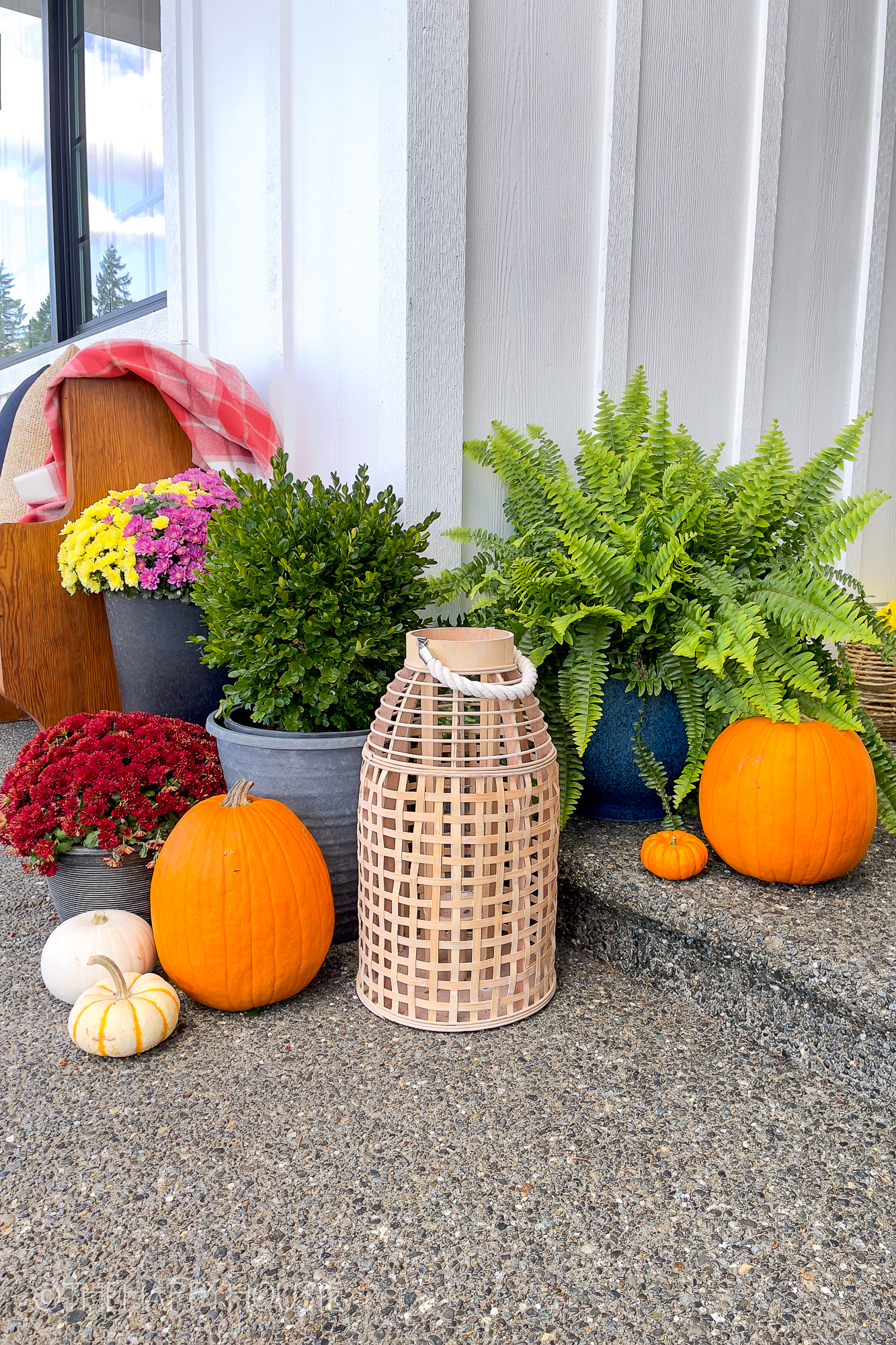 Up close look at the pumpkins and flowers on the porch.