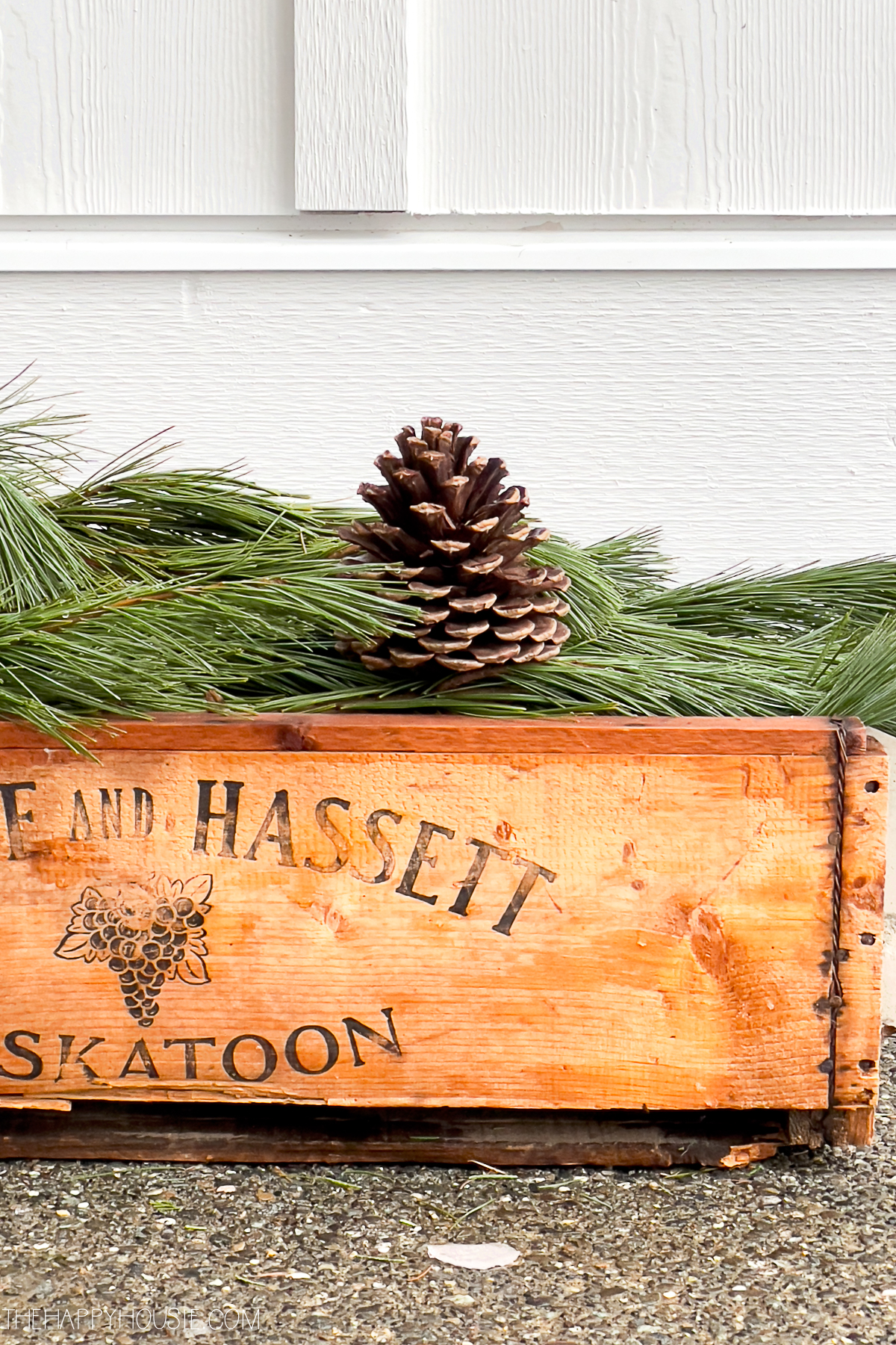 Pine boughs and pine cones displayed in a vintage crate for Christmas