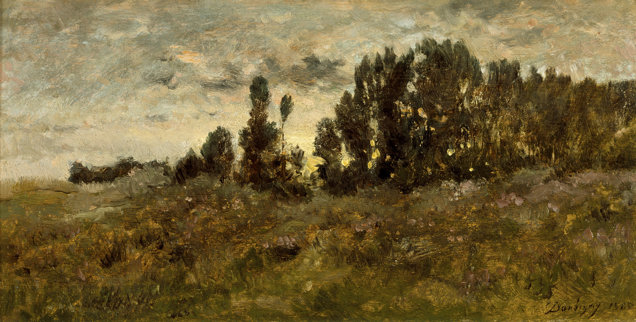 Grassy landscape with trees. 
