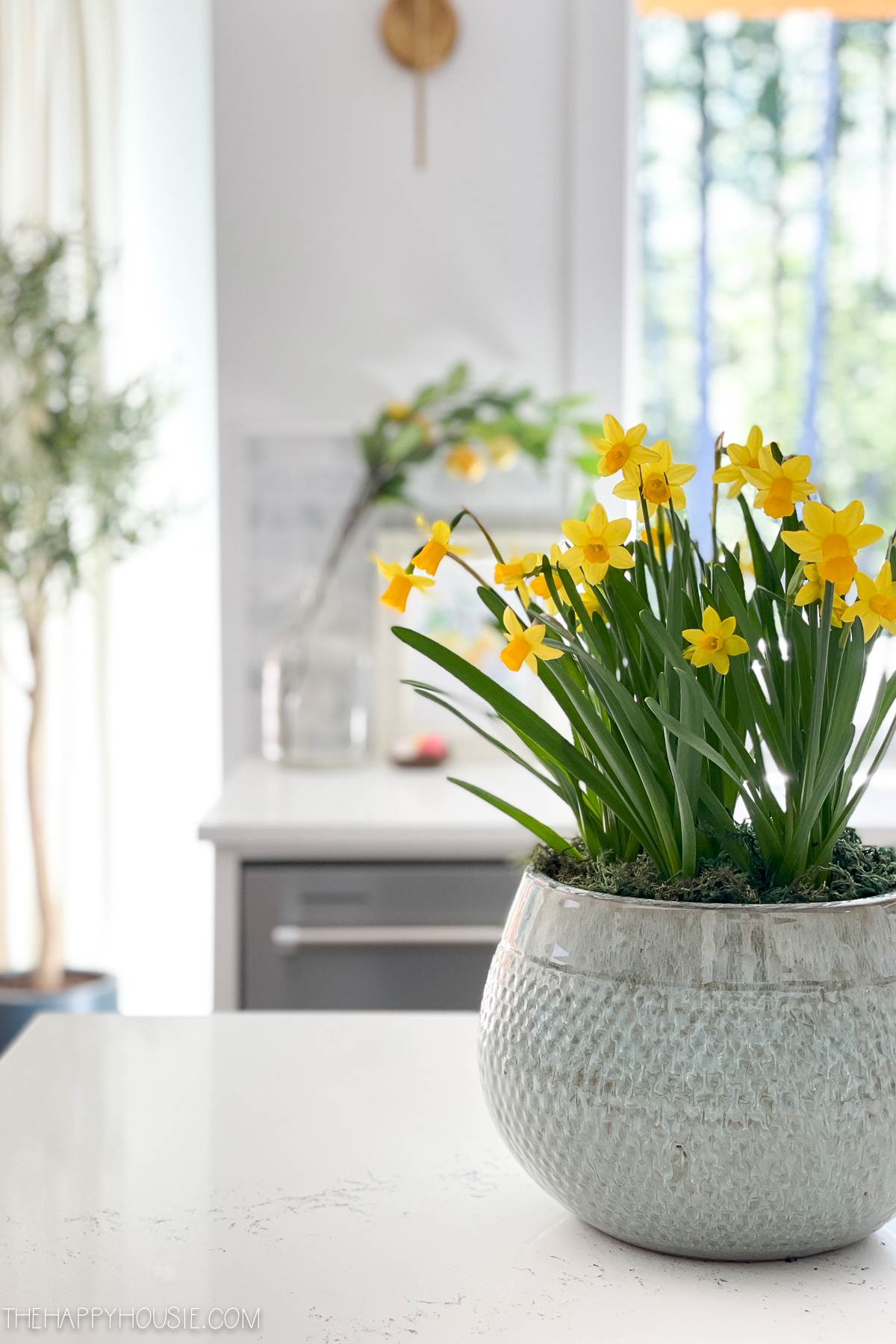 cheery yellow daffodils in a spring kitchen 