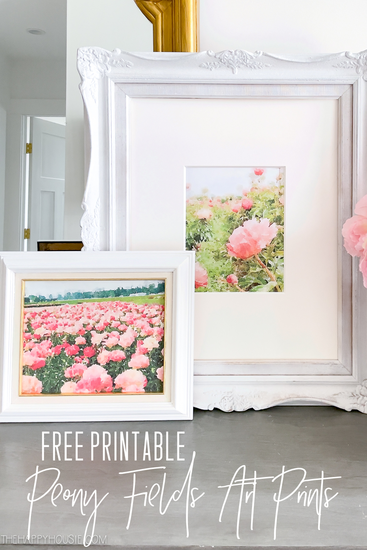 peony fields watercolour art prints displayed in frames
